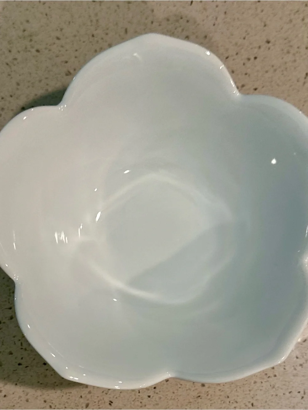 Pier 1 White Floral Scalloped Ceramic Bowl